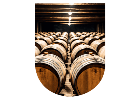 Champagne alcoholic fermentation